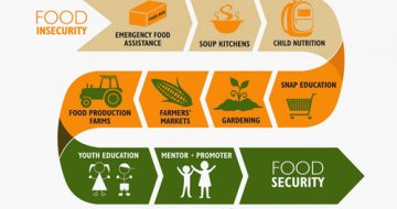 Post-Graduate-Diploma-in-Food-Security-Programme-Management