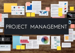Project Management for Development Professionals Course (8weeks)